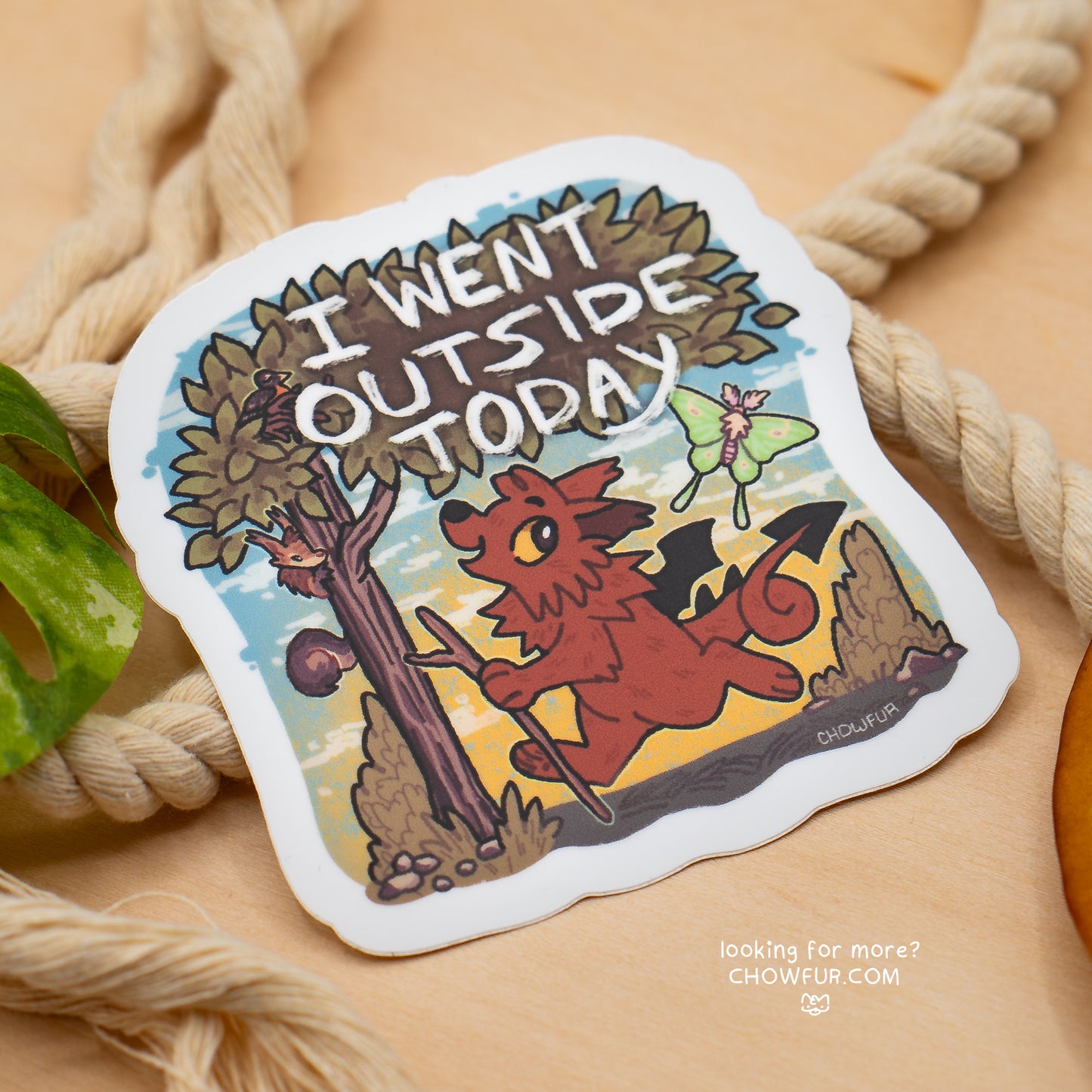 I Went Outside Sticker