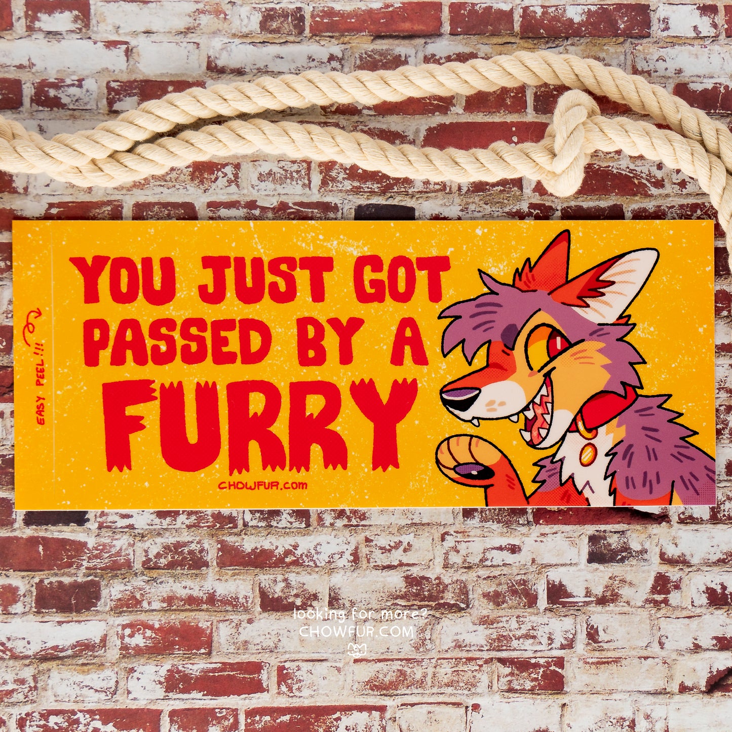 You Just Got Passed Bumper Sticker - $10 - Furry Bumper sticker only from Chowfur.com - Shop now!