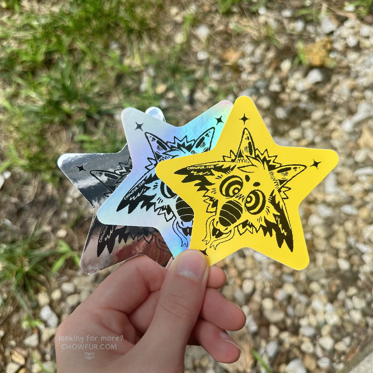 Star Dragon Sticker