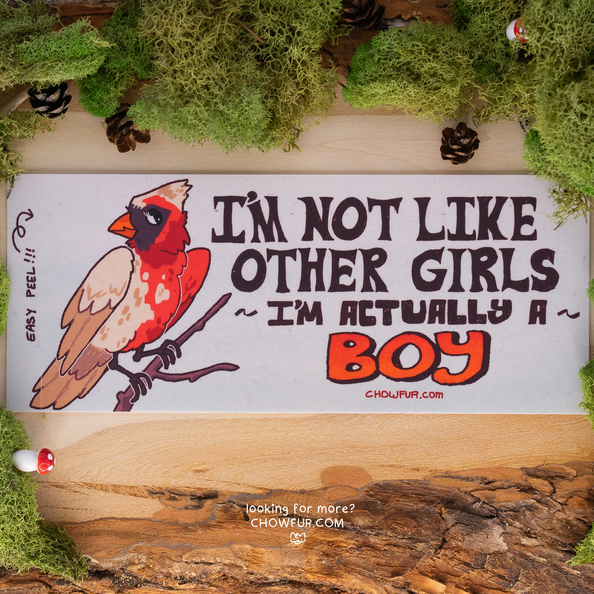 I'm Actually A Boy Bumper Sticker - $10 - Furry Bumper sticker only from Chowfur.com -  Shop now!